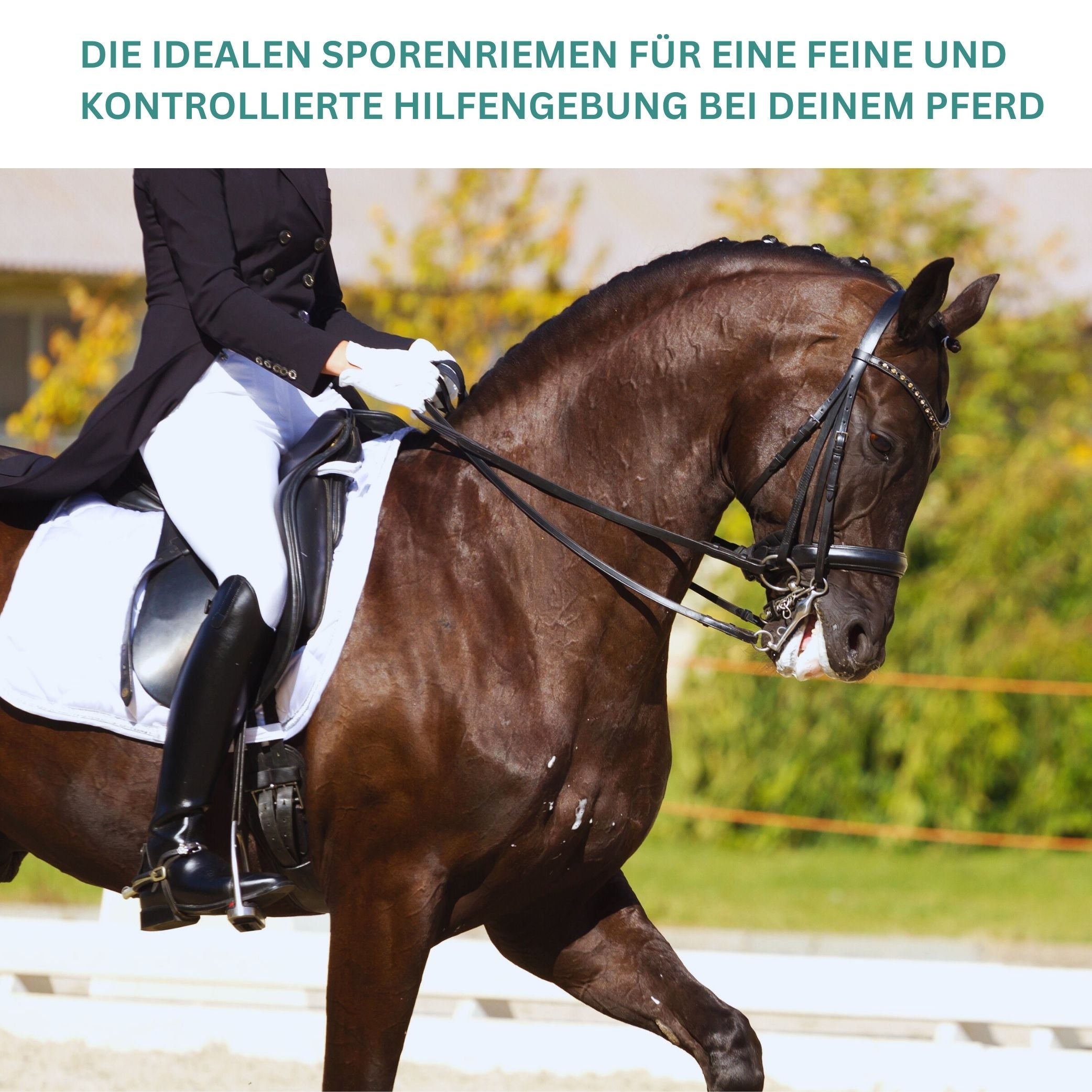 Sporenriemen aus Leder 2 Stück, größenverstellbar